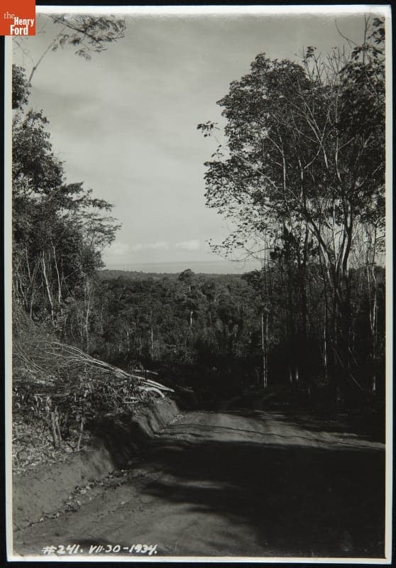 View of Rio Tapajos at Belterra Plantation, Brazil, 1934