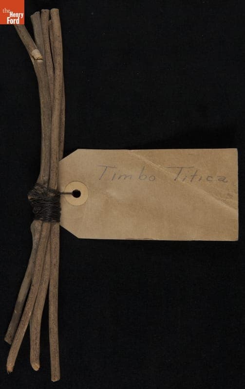 Tree Bark and Wood Pulp Samples from Brazil, Sample #2, Timbo Titica, 1925-1928