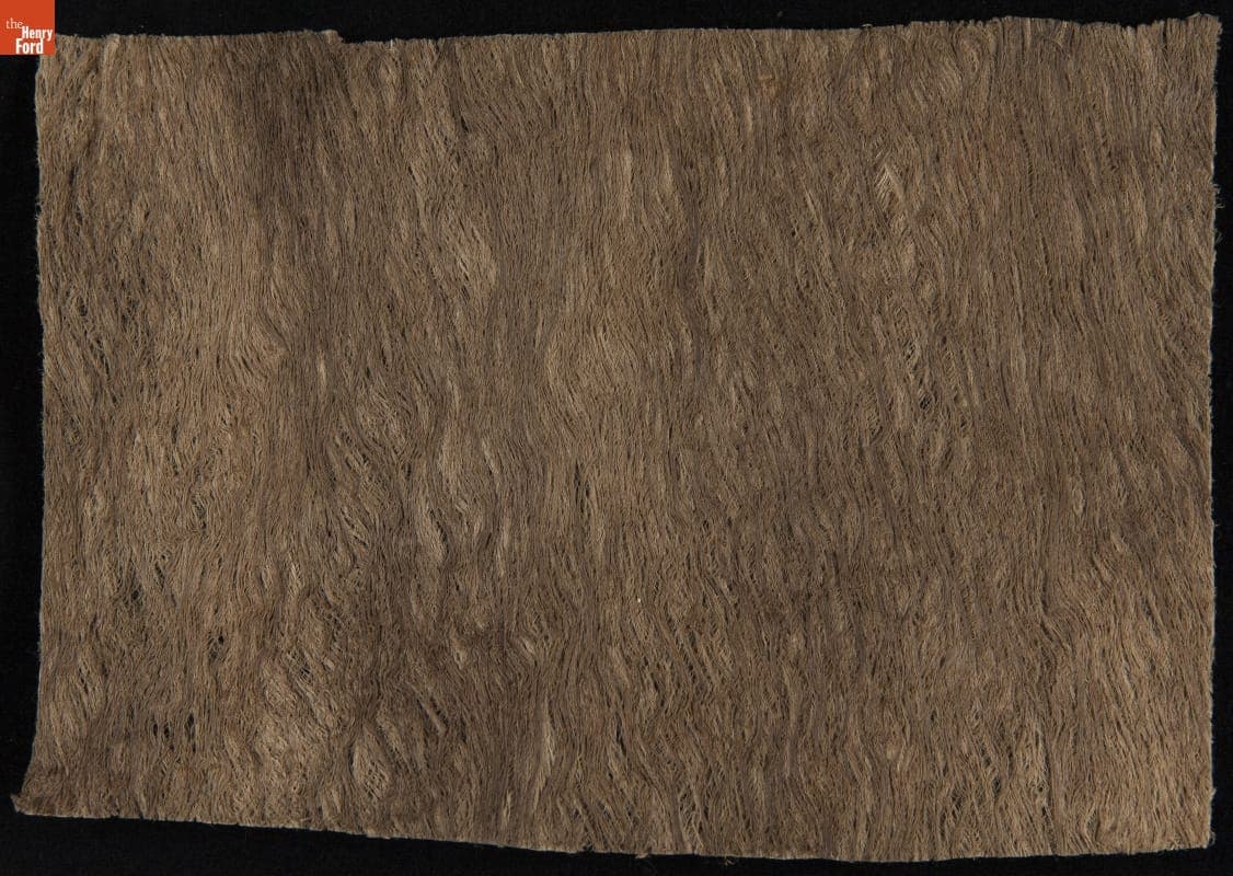 Tree Bark and Wood Pulp Samples from Brazil, Sample #5, Murure, 1925-1928