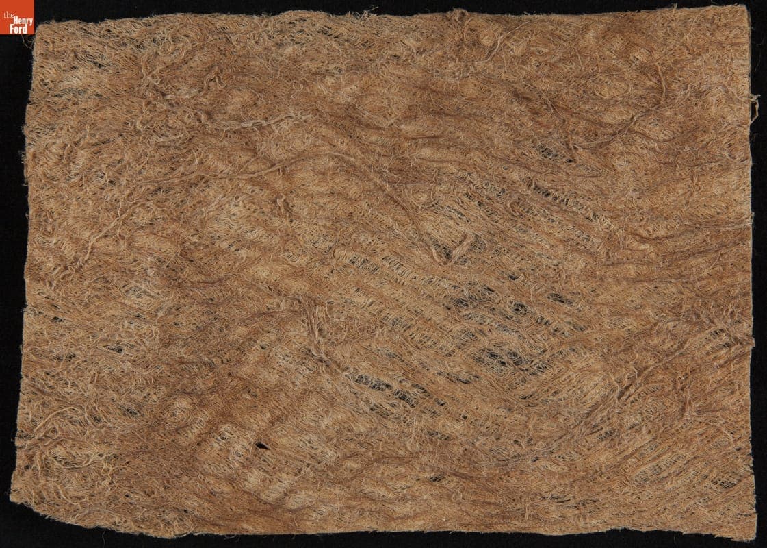 Tree Bark and Wood Pulp Samples from Brazil, Sample #6, Apuhy, 1925-1928