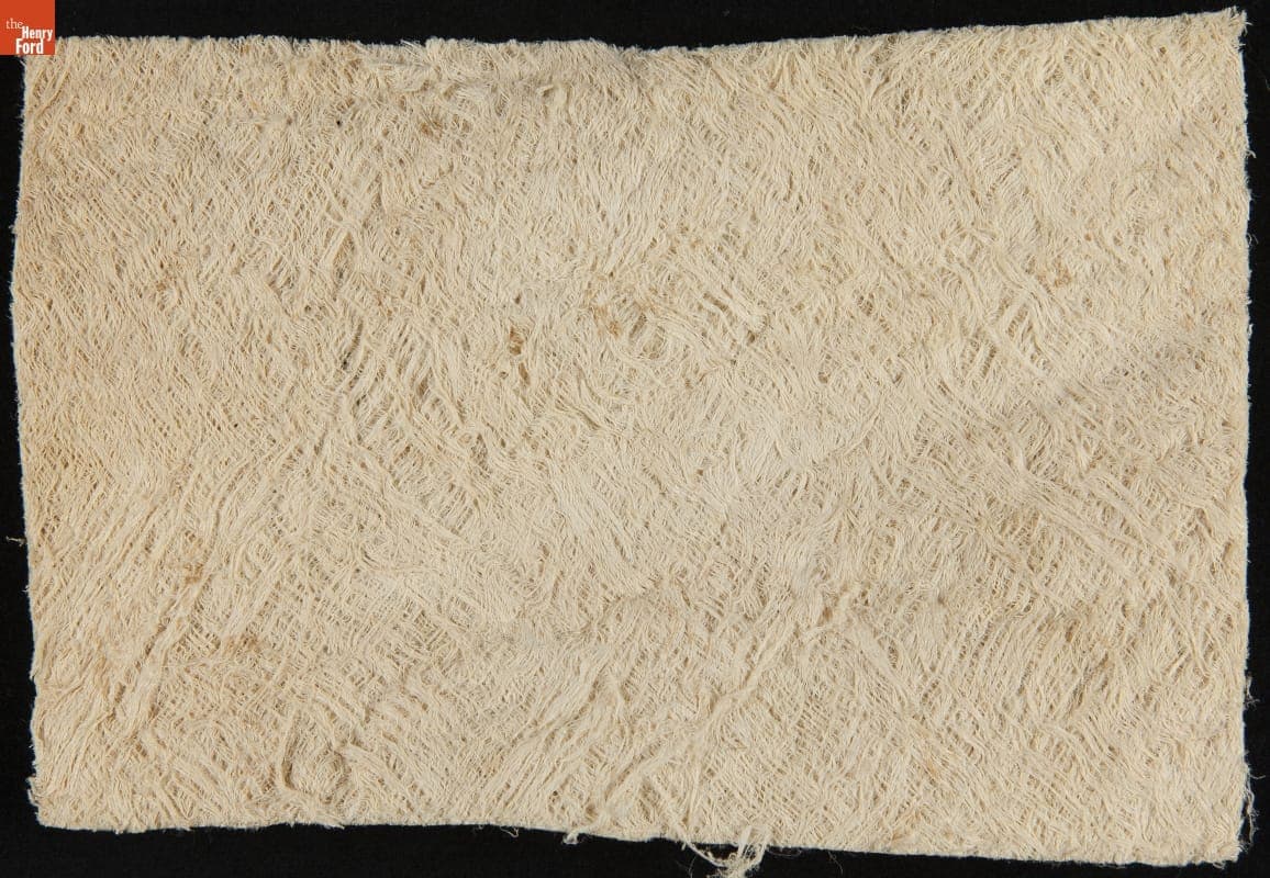 Tree Bark and Wood Pulp Samples from Brazil, Sample #7, Tatijuba, 1925-1928