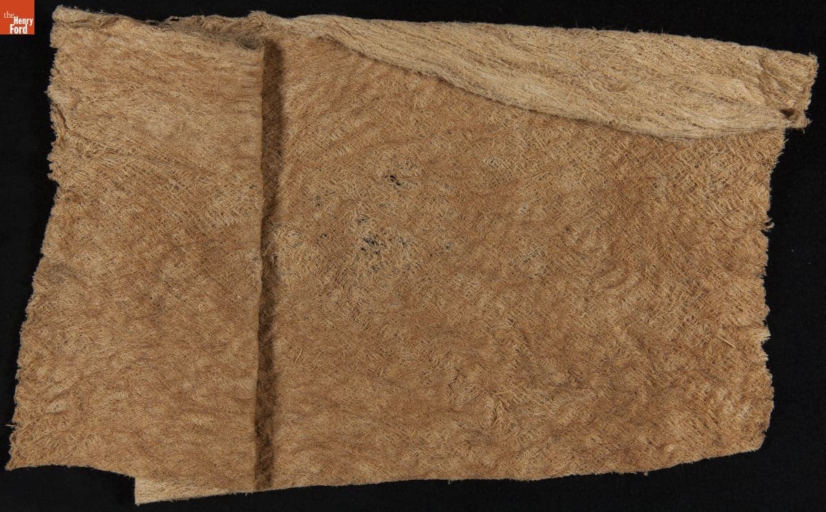Tree Bark and Wood Pulp Samples from Brazil, Sample #11, 1925-1928