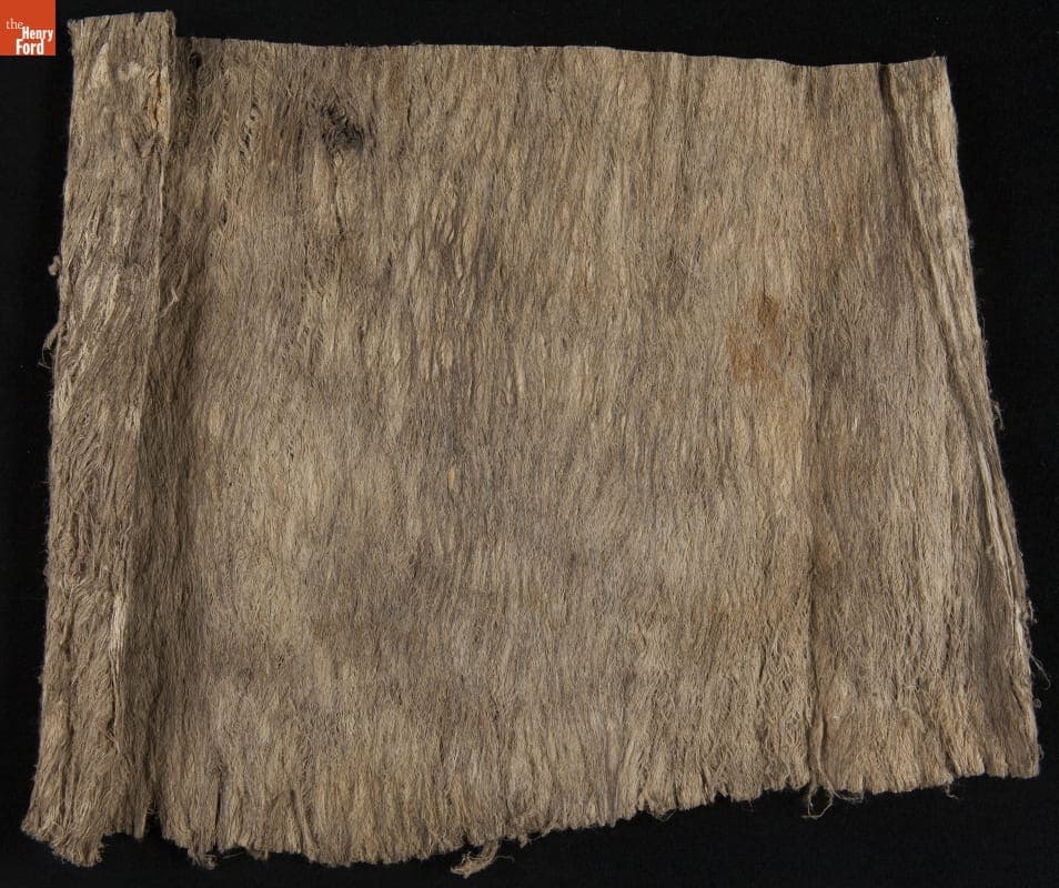 Tree Bark and Wood Pulp Samples from Brazil, Sample #15, 1925-1928