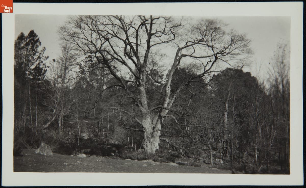 Hanks Silk Mill--Original Site--Item 01