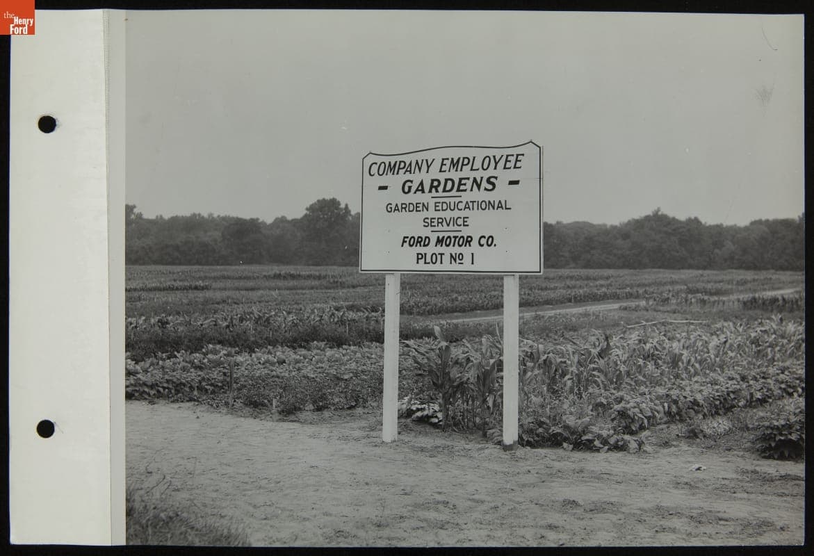 Ford Motor Company Employee Victory Garden Plot No. 1, Garden Educational Service, July 1944