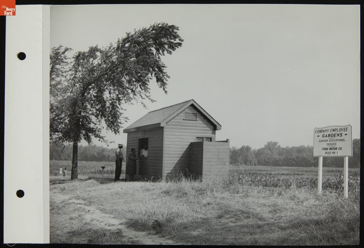 Ford Motor Company Employee Victory Garden, July 1944