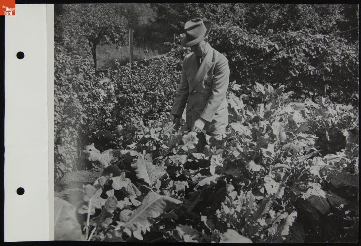 Ford Motor Company Garden, August 1944