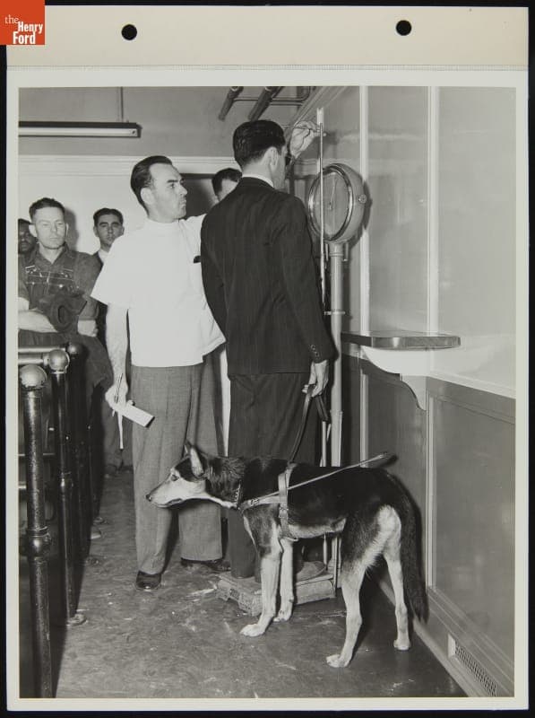 Medical Exam for Ford Employee Sylvester Rypkowski with His Service Dog, "Blackie," October 1942