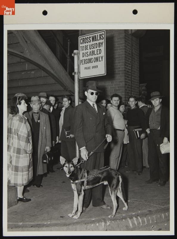 Ford Employee Sylvester Rypkowski with Service Dog "Blackie," Waiting at Cross Walk, October 1942