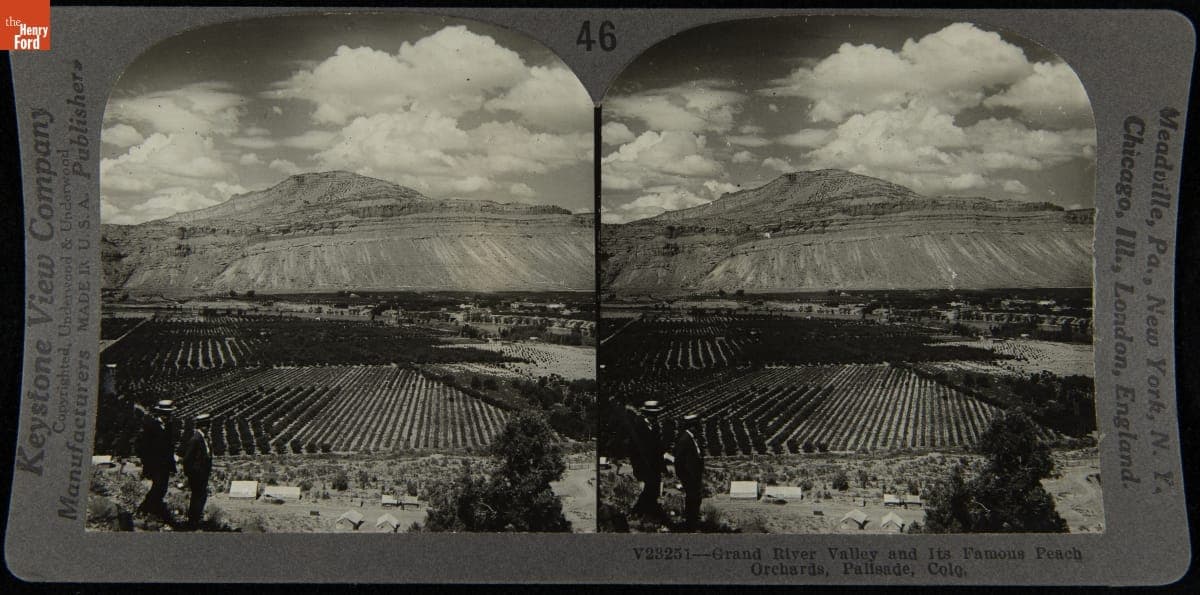 Grand River Valley and Its Famous Peach Orchards, Palisade, Colo.