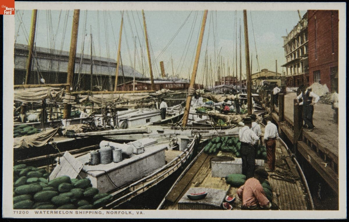 Watermelon Shipping, Norfolk, Va., 1913-1918