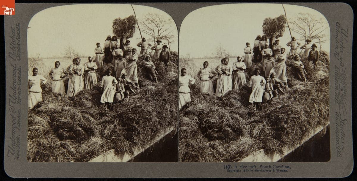 A Rice Raft, South Carolina, 1895