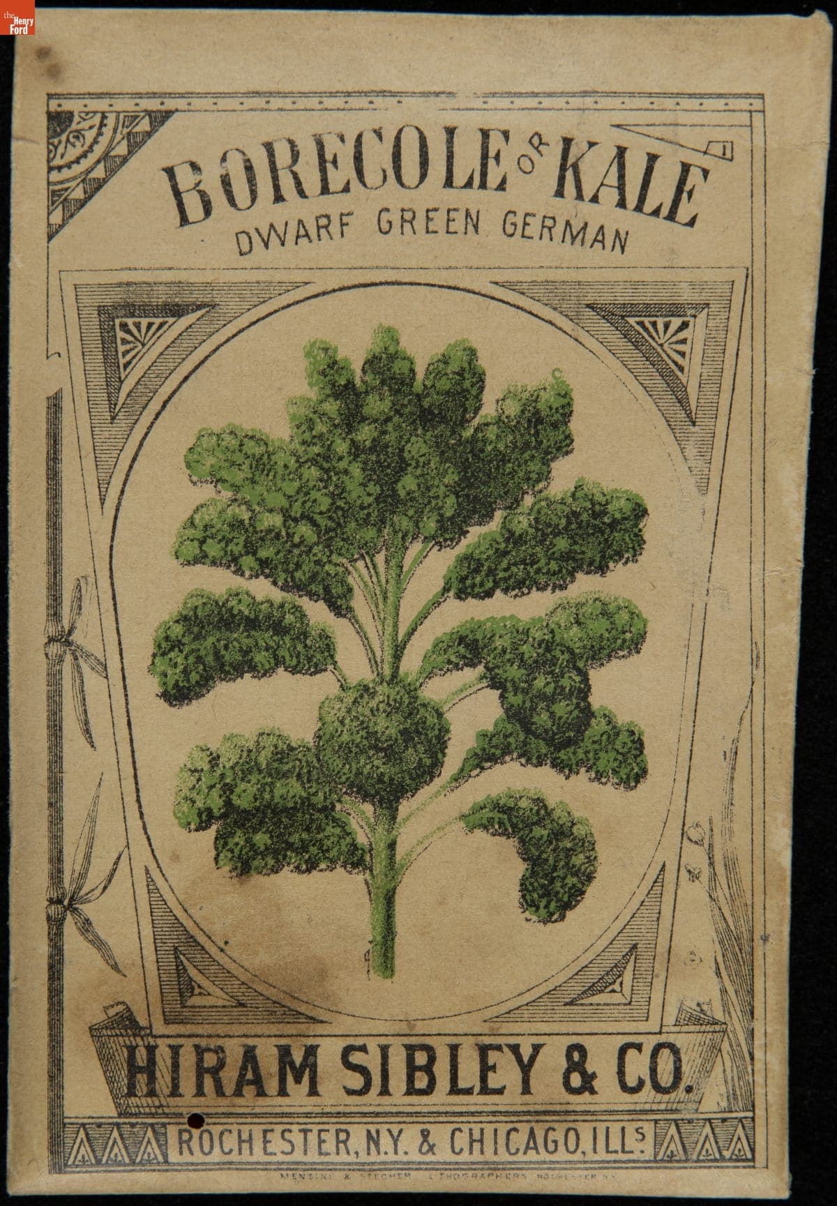 Hiram Sibley & Co. "Borecole or Kale Dwarf Green German" Seed Packet, Used in the C.W. Barnes Store, 1882-1888