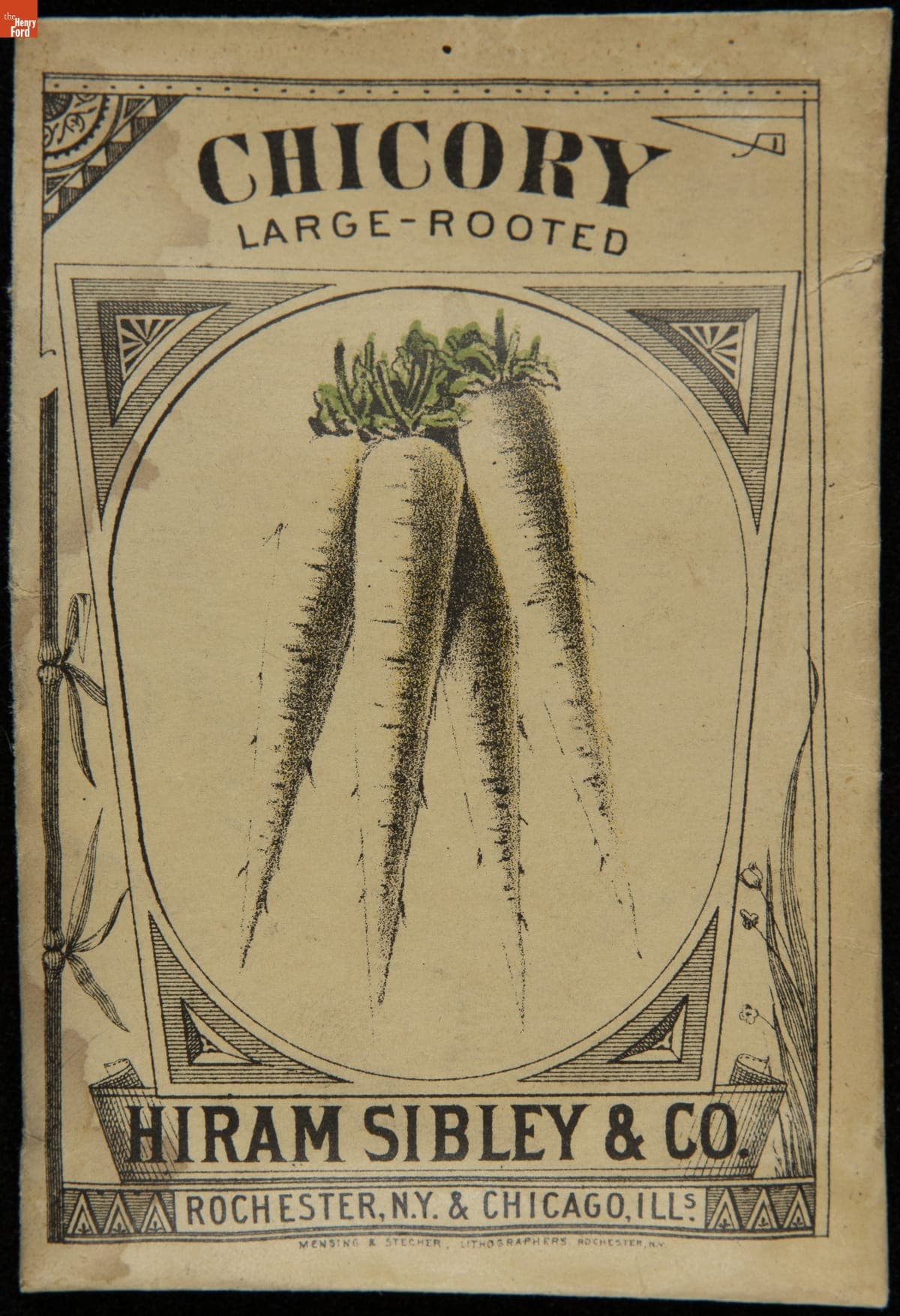 Hiram Sibley & Co. "Chicory Large-Rooted" Seed Packet, Used in the C.W. Barnes Store, 1882-1888