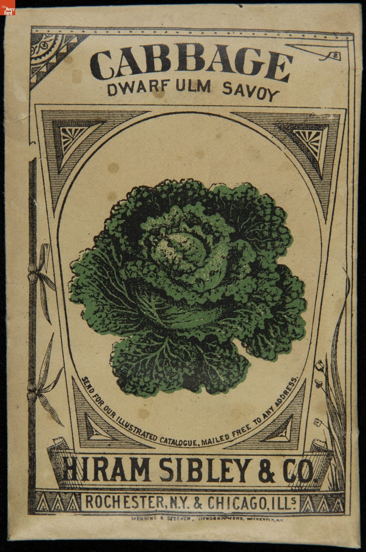 Hiram Sibley & Co. "Cabbage Dwarf Ulm Savoy" Seed Packet, Used in the C.W. Barnes Store, 1882-1888