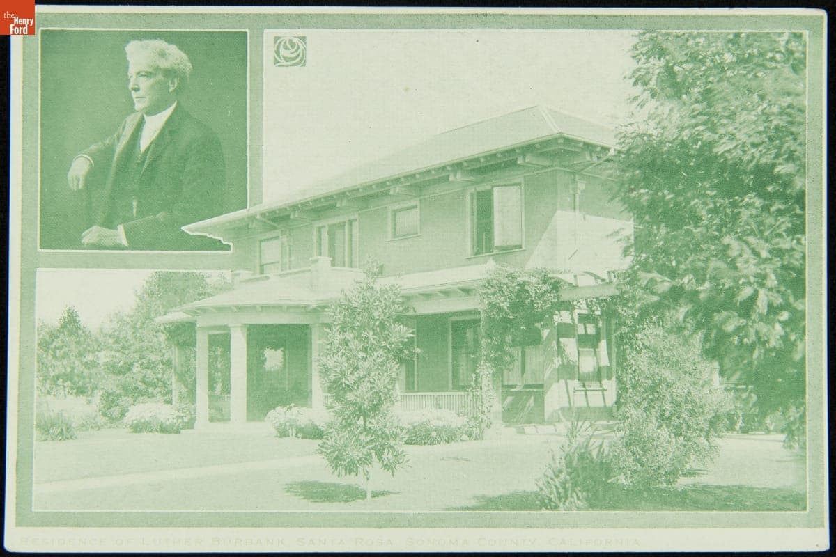 "Sonoma County, Luther Burbank's Products, Sacramento Citrus Fair, February 13 to 18, 1911"