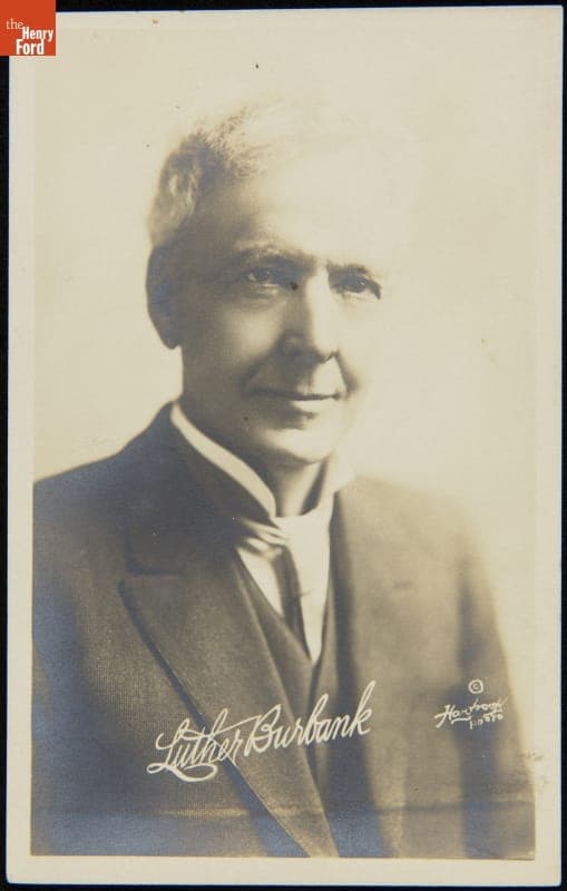 Portrait of Luther Burbank, circa 1915