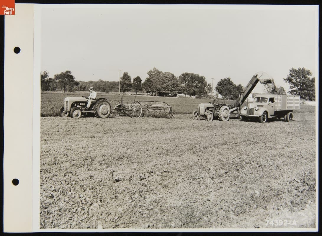Ford Stake Truck and Ferguson Model 9N Tractor Cutting and Collecting Silage, September 20, 1940