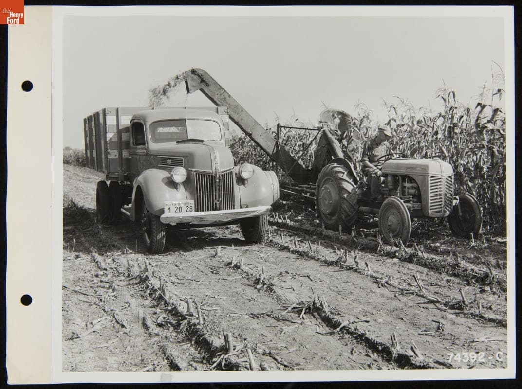 Ford Stake Truck and Ferguson Model 9N Tractor Cutting and Collecting Silage, September 20, 1940