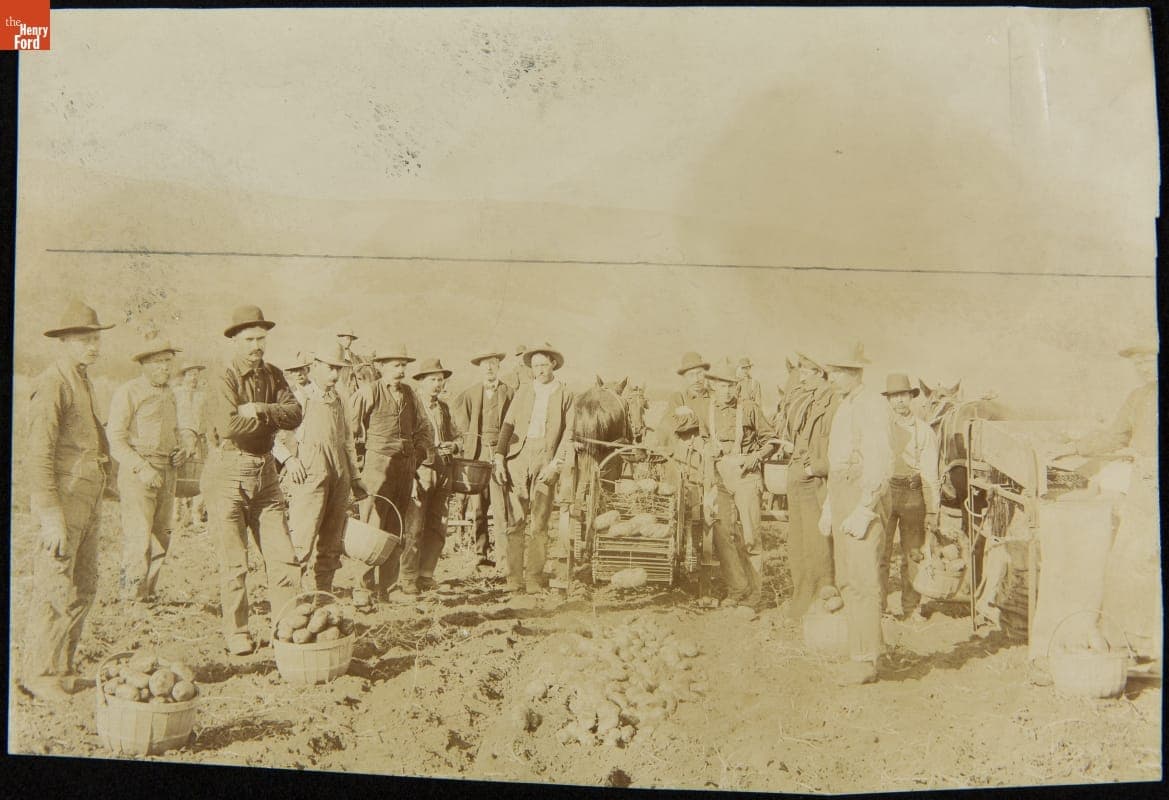 Farm Workers with Mechanical Potato Harvester and Baskets of Potatoes, 1923-1924