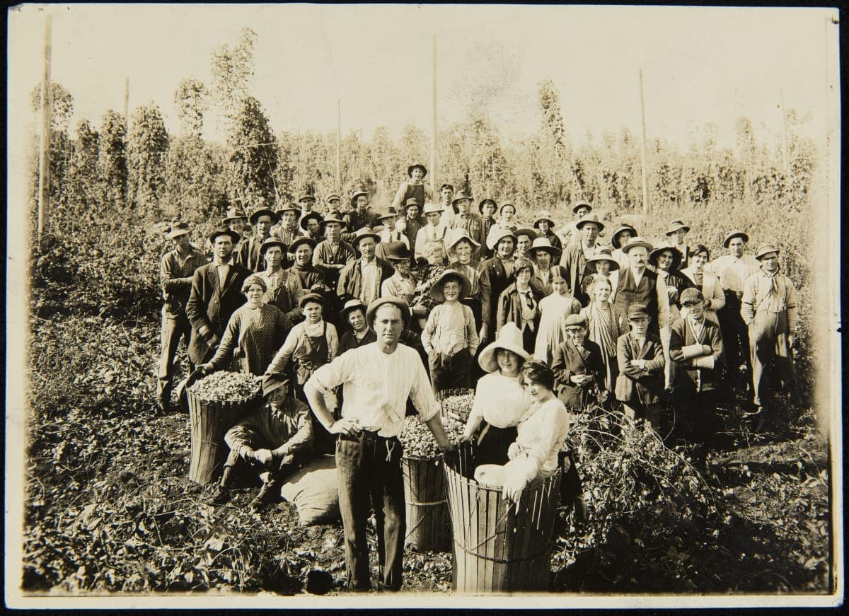 Hop-Pickers in a Field, Oregon, 1923-1924