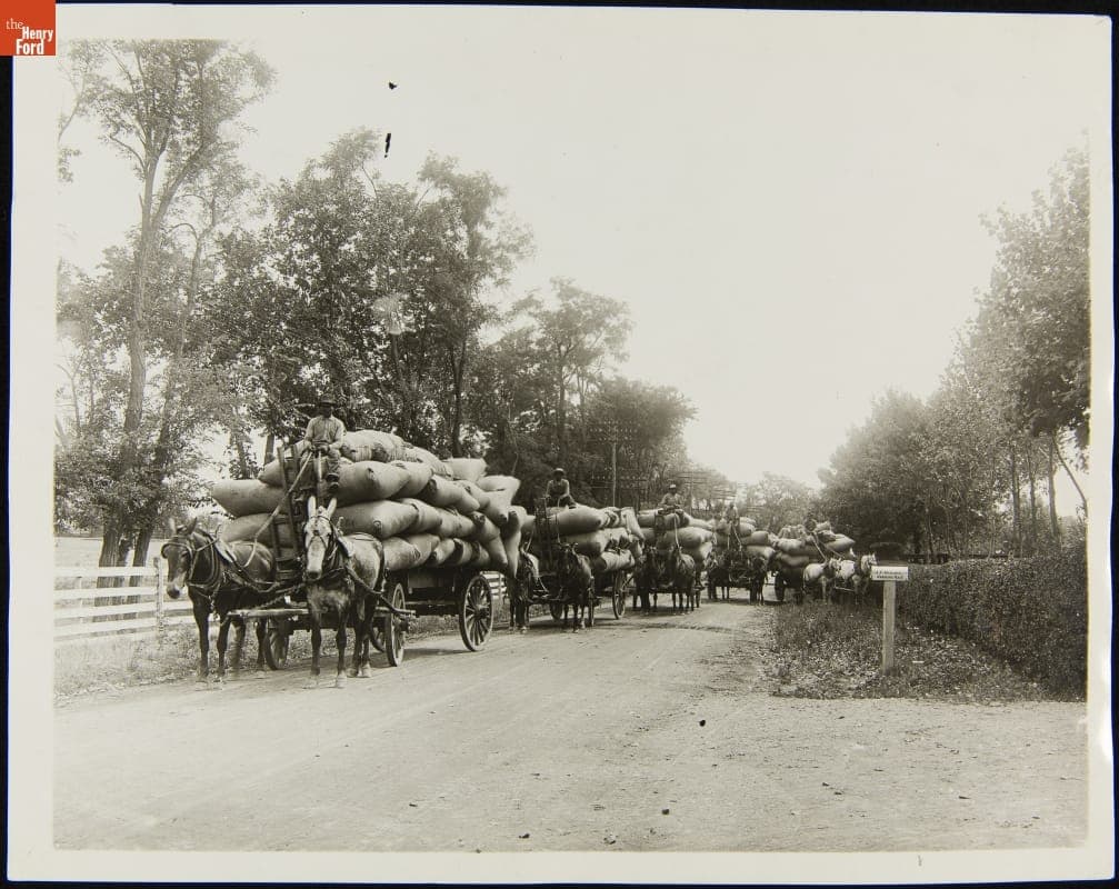 Blue Grass Seed in Lexington, Kentucky, Bound for Golf Courses across the United States, 1923-1924