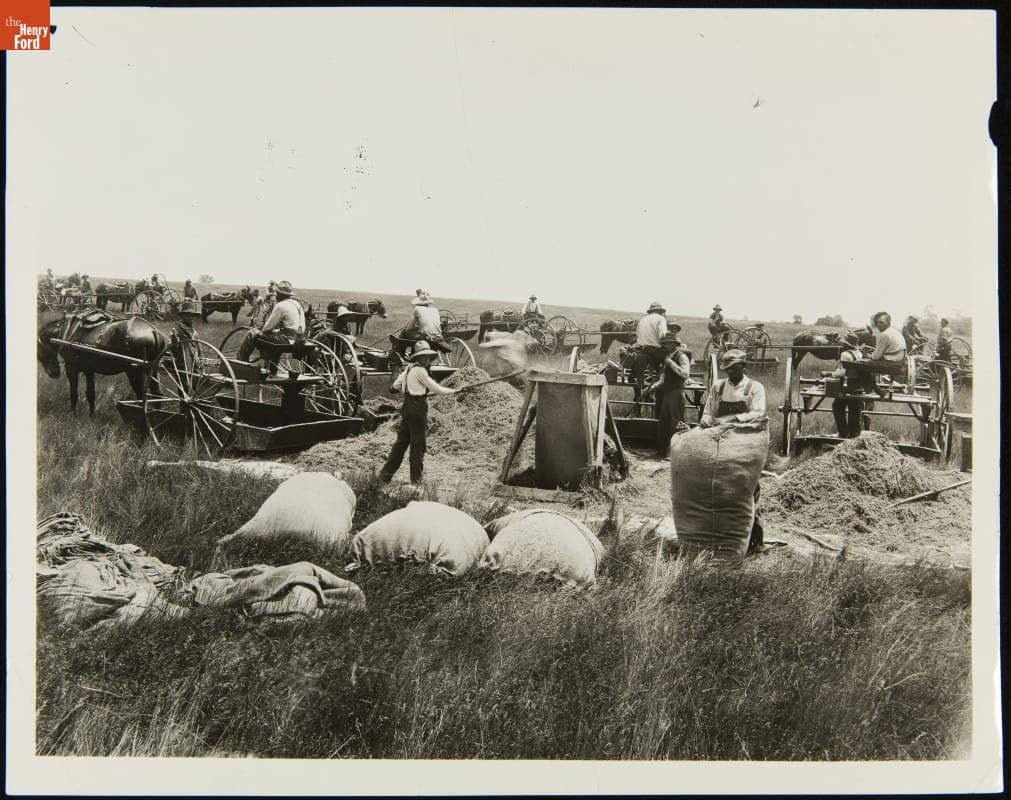 Harvesting Blue Grass Seed in Lexington, Kentucky for Sale to Golf Courses, 1923-1924