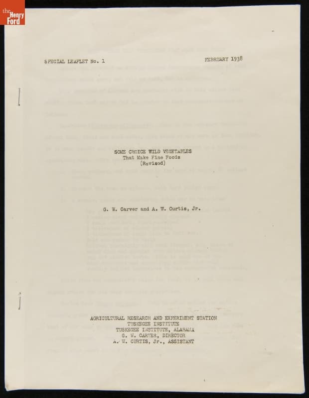 Some Choice Wild Vegetables That Make Fine Foods (Revised), February 1938