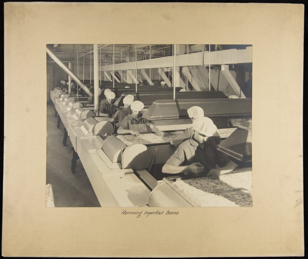 H. J. Heinz Company, Removing Imperfect Beans, Pittsburgh, Pennsylvania, circa 1920