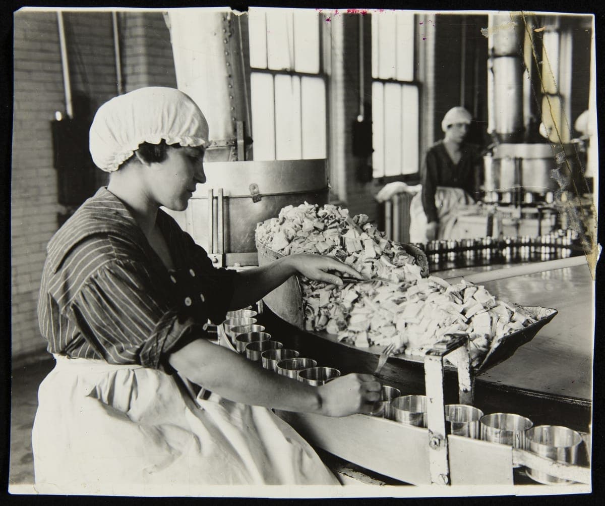 Employee Placing Pork into Cans, H. J. Heinz Company, Pittsburgh, Pennsylvania, circa 1915