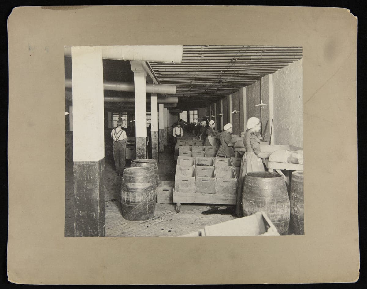 Employees Sorting Cucumbers for Pickling, H. J. Heinz Company, Pittsburgh, Pennsylvania, circa 1900