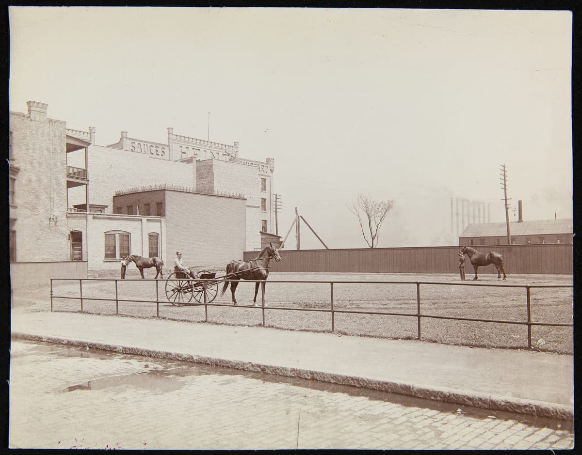 Employees Exercising Horses, H. J. Heinz Company, Pittsburgh, Pennsylvania, circa 1905