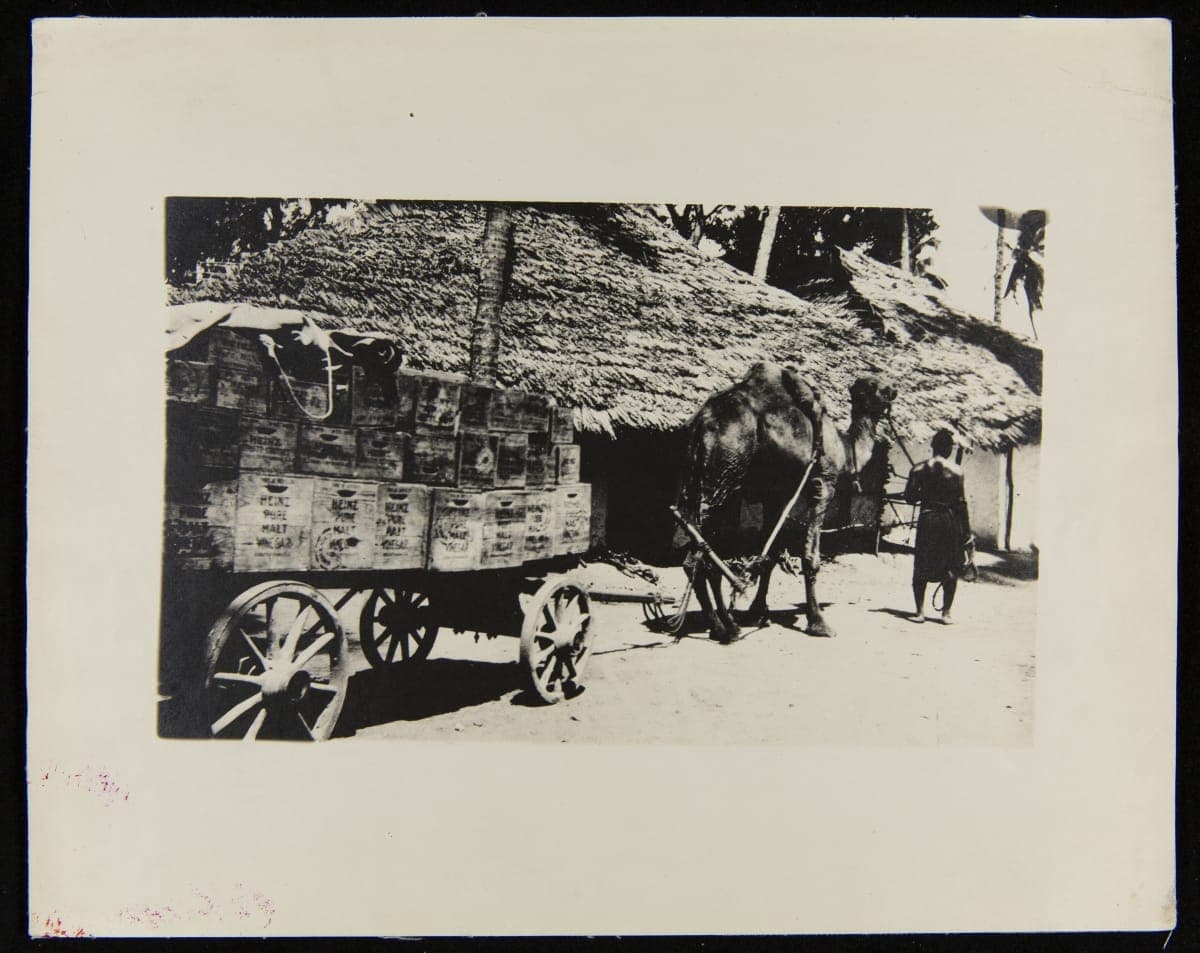 Hauling Heinz Products in Africa, circa 1910