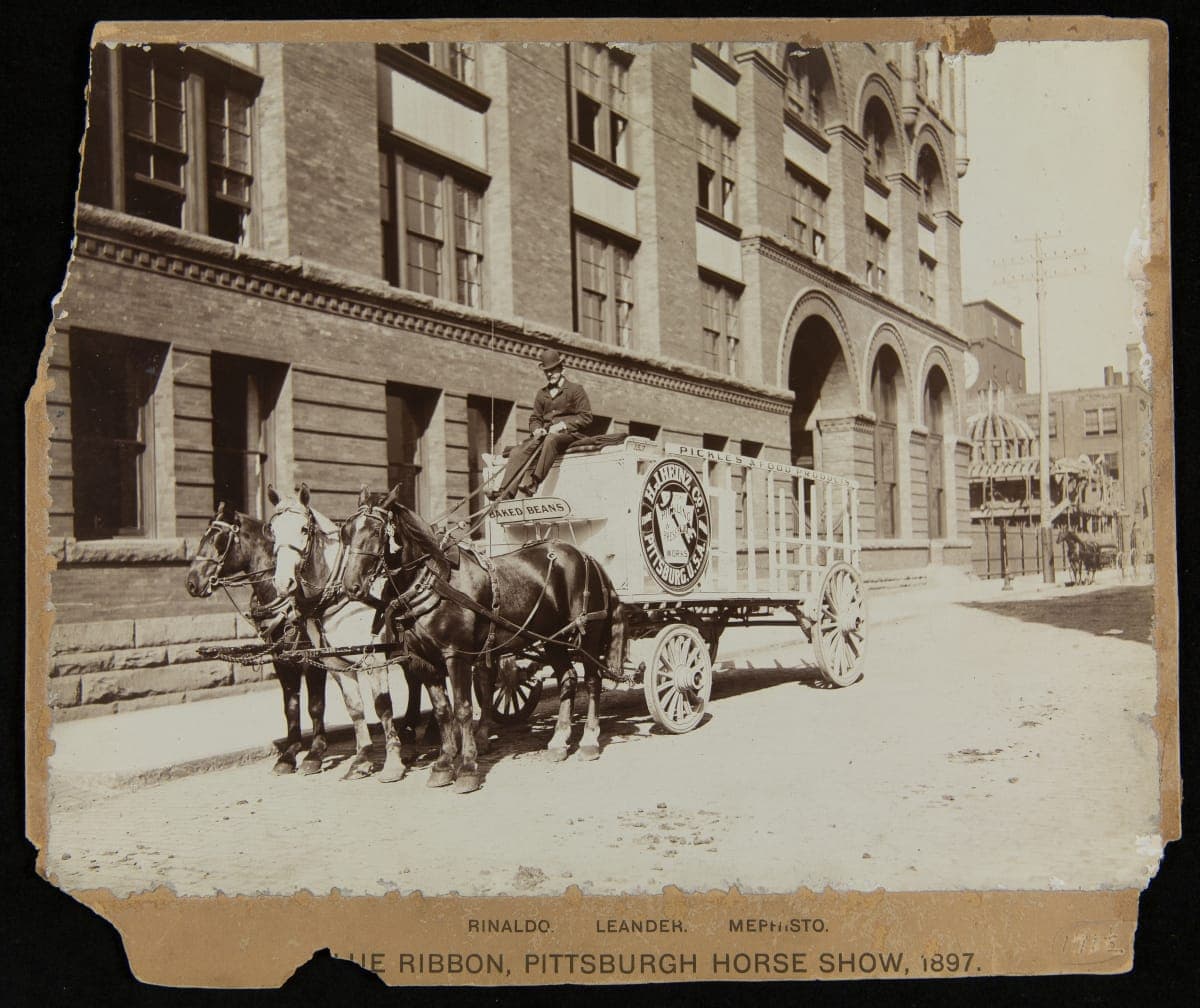 Heinz Blue Ribbon Team at Pittsburgh Horse Show, Pittsburgh, Pennsylvania, 1897