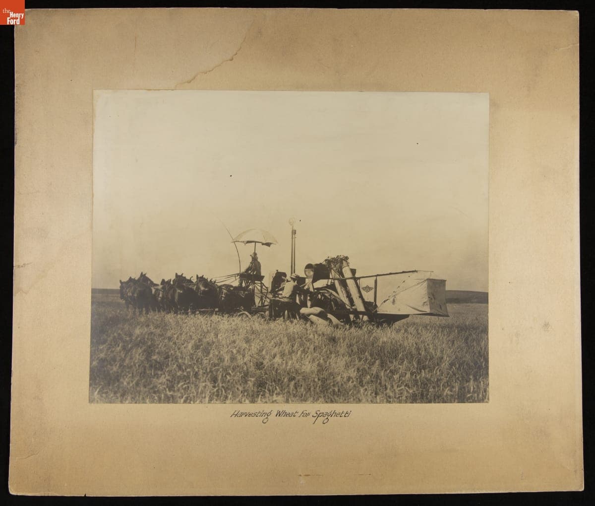 Harvesting Wheat for Spaghetti, H. J. Heinz Company, 1930-1940