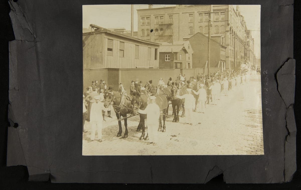 Horses Pulling the H. J. Heinz Company "Goddess of Plenty" Float at Pittsburgh's Sesqui-Centennial Celebration, 1908