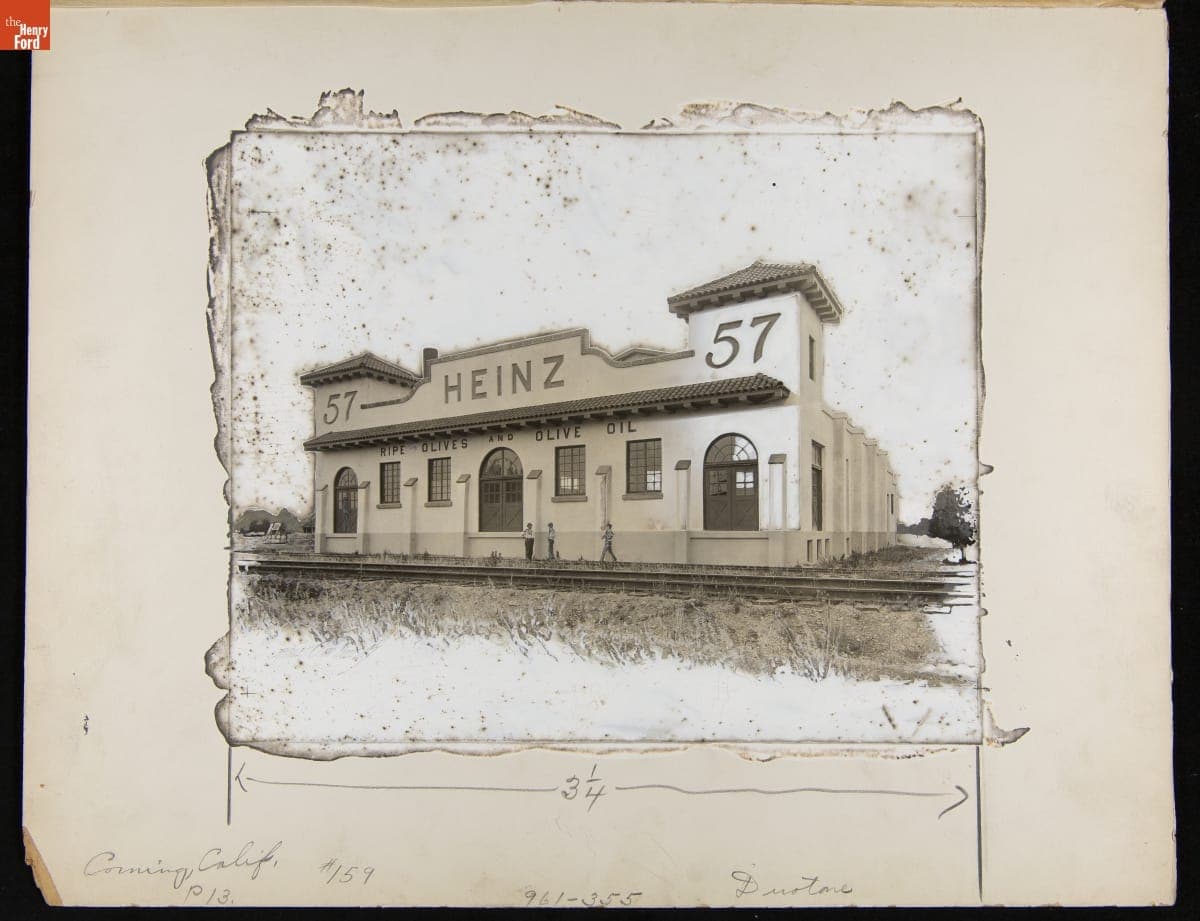 Advertising Layout Photograph of Heinz Olive Oil Factory in Corning, California, July 20, 1916