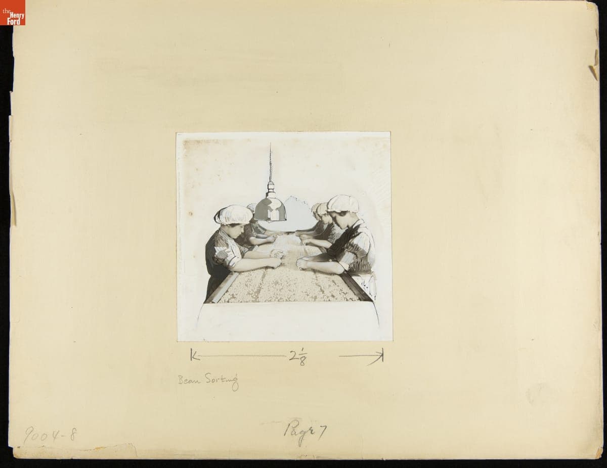 Advertising Layout Photograph of Employees Sorting Beans for Heinz Products, circa 1915