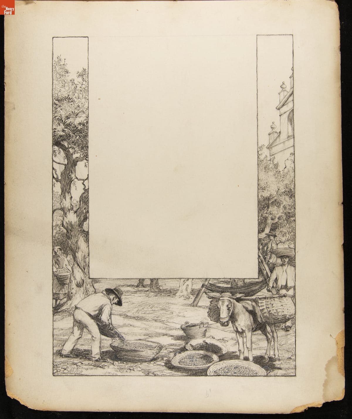 Advertising Layout Drawing of Heinz Company Olive Harvesters in Seville, Spain, March 31, 1910