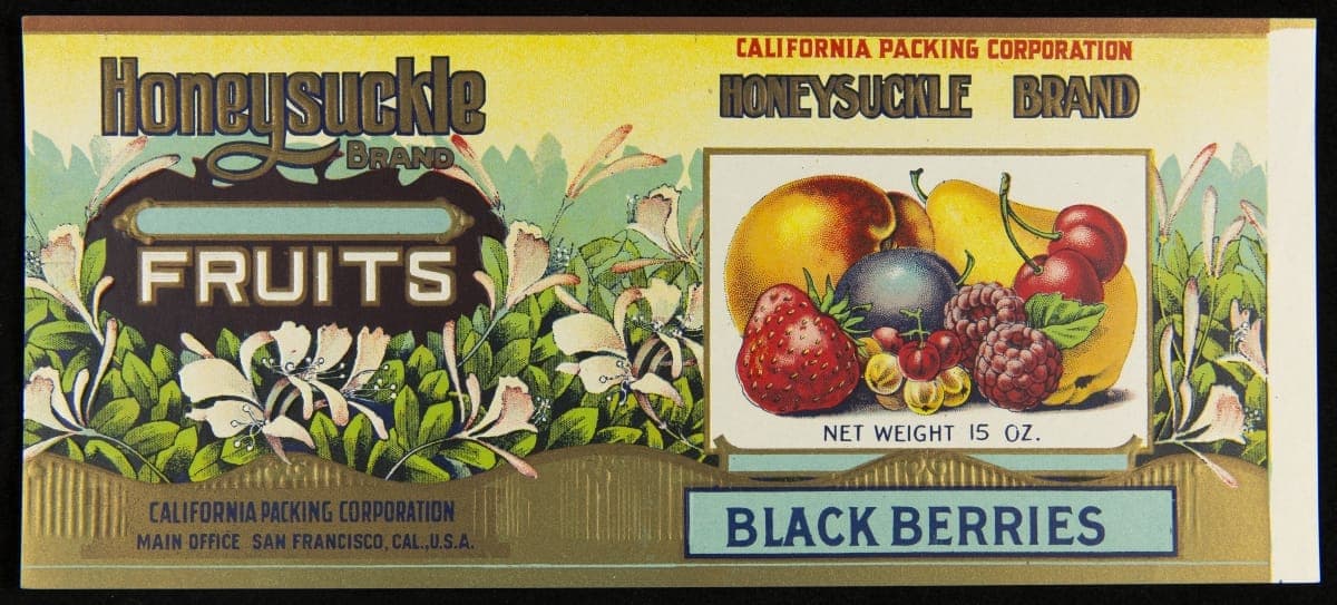 "Honeysuckle Brand Fruits Black Berries," circa 1916