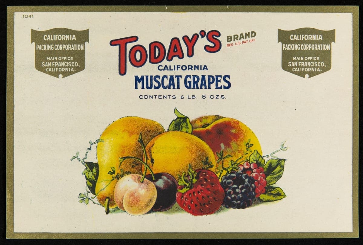Crate Label, "Today's Brand California Muscat Grapes," 1920-1940