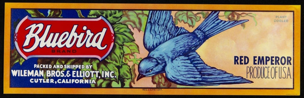 Crate Label, "Bluebird Brand Red Emperor Grapes," circa 1950