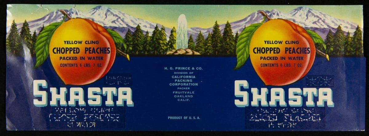 Can Label, "Shasta Brand Yellow Cling Chopped Peaches," 1913-1940