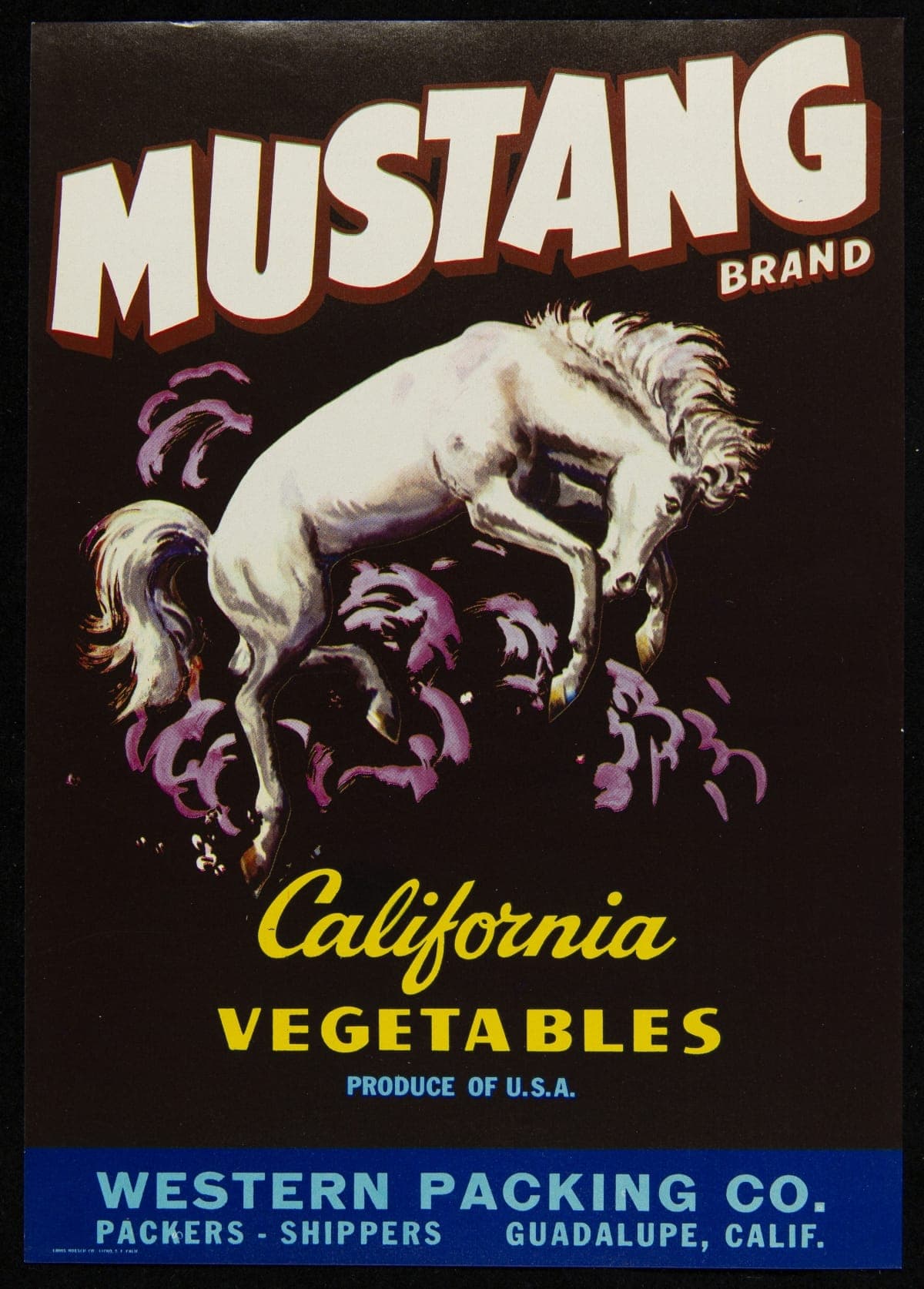 Label, "Mustang Brand California Vegetables," circa 1940