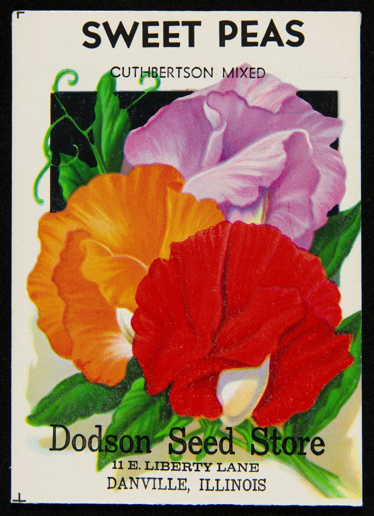 Dodson Seed Store "Sweet Peas" Seed Packet, 1966-1983