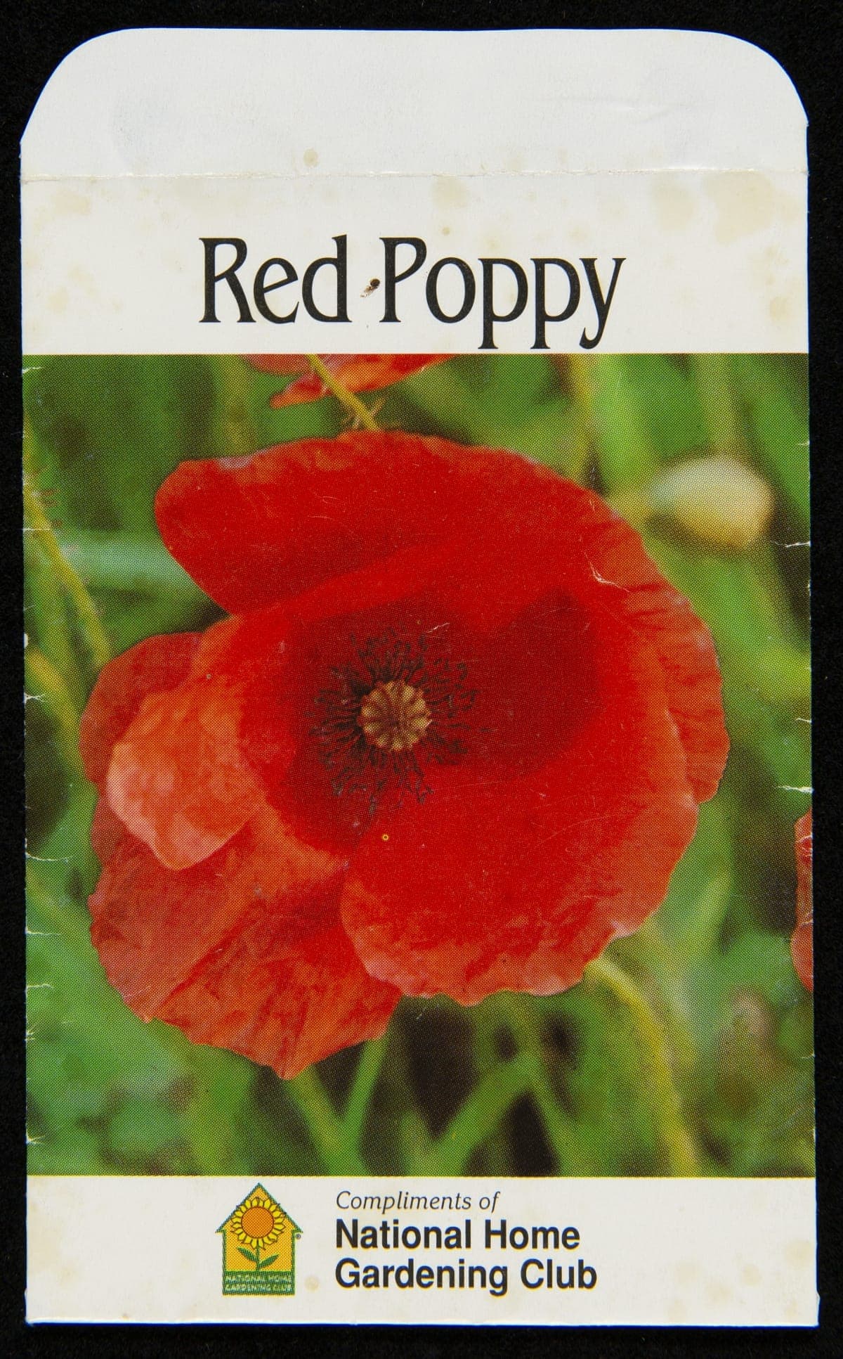 Bentley Seeds, Inc. "Red Poppy" Seed Packet, circa 2002