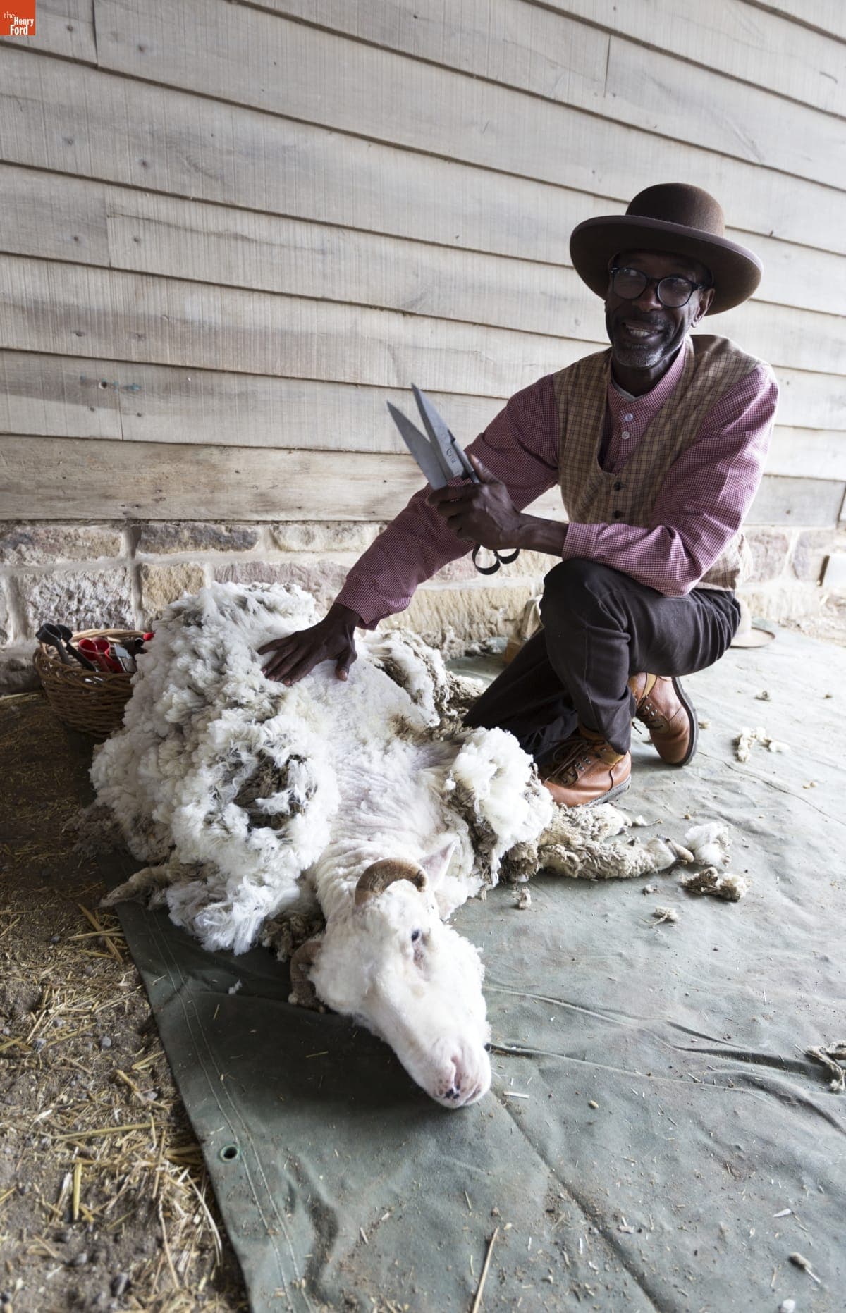 Melvin Parson Shearing a Sheep at Firestone Farm in Greenfield Village