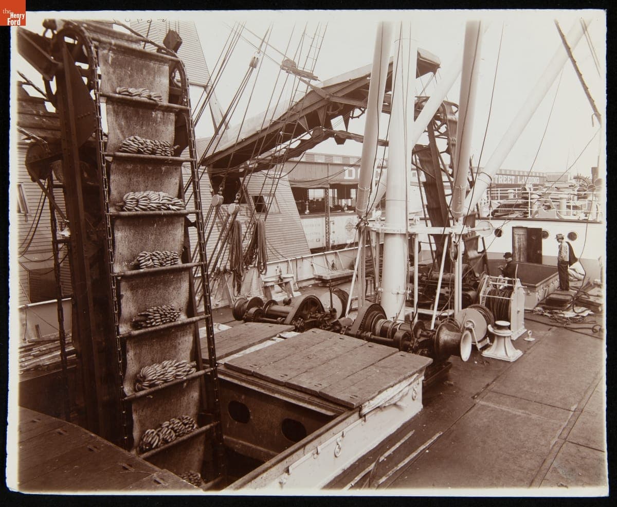 Banana Conveyors in Operation, New Orleans, Louisiana, circa 1910