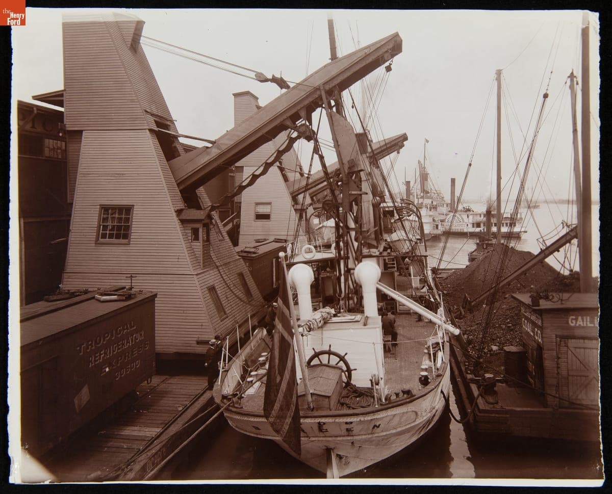Unloading a Banana Steamer by Machinery, Mobile, Alabama, 1900-1910