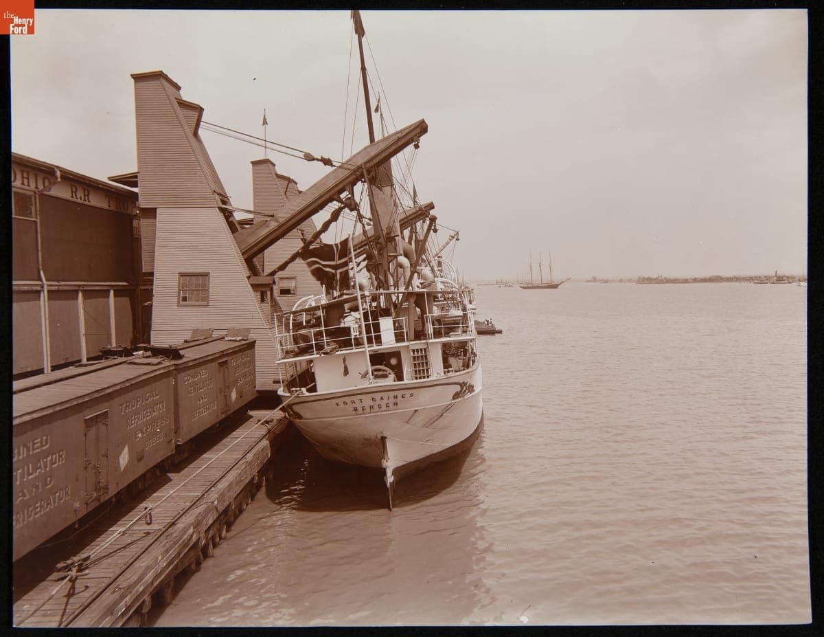 Along the Banana Docks, Mobile, Alabama, 1895-1910